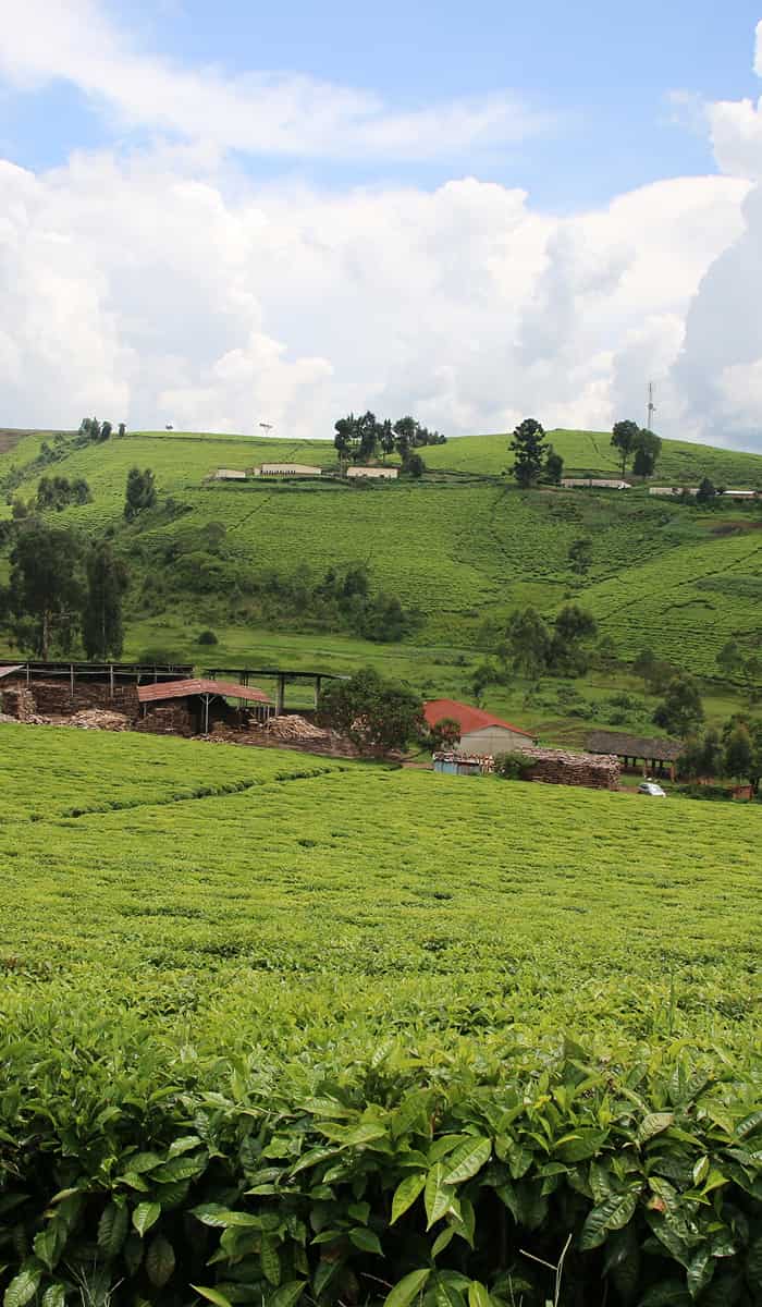 eSIM data plans for Burundi