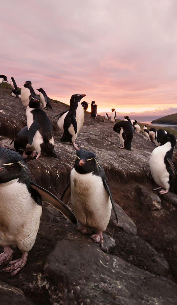 eSIM data plans for Falkland Islands