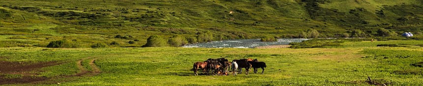 eSIM data plans for Kyrgyzstan