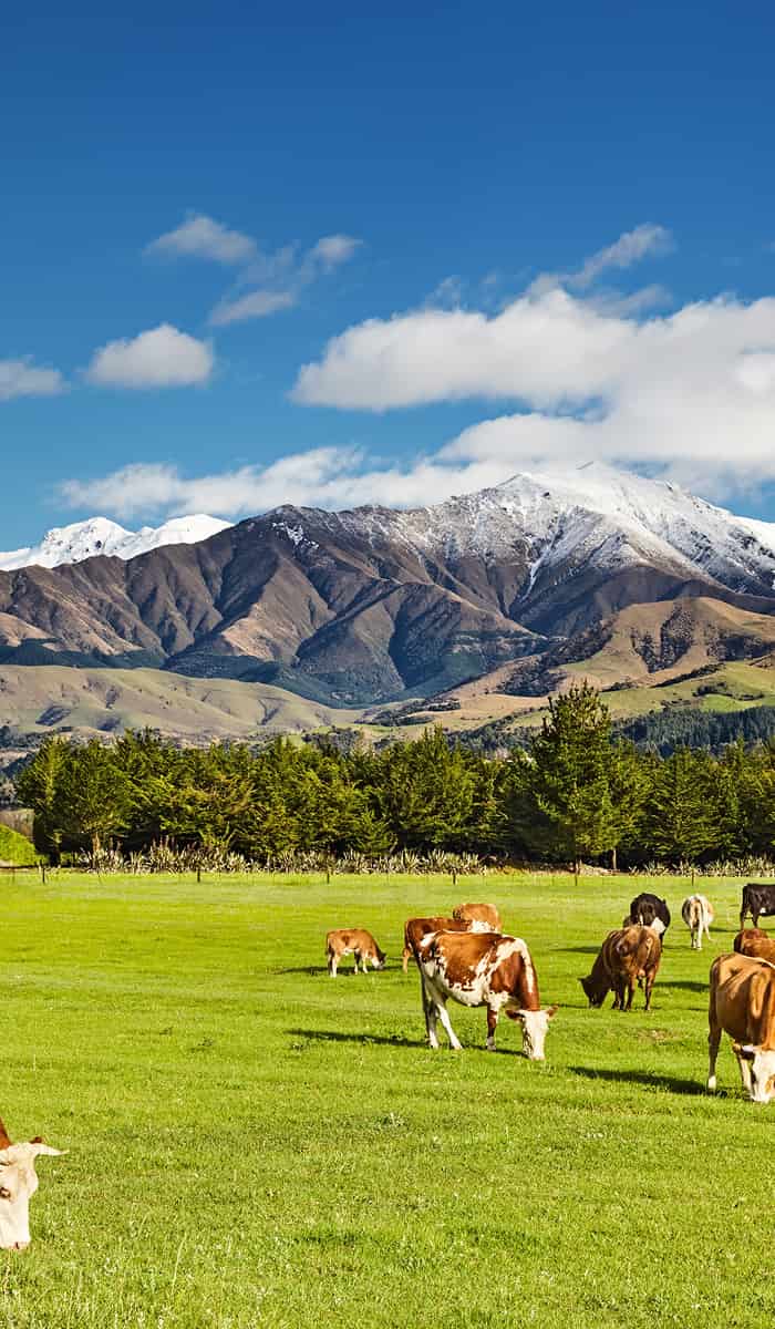 eSIM data plans for New Zealand