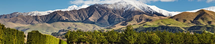 eSIM data plans for New Zealand