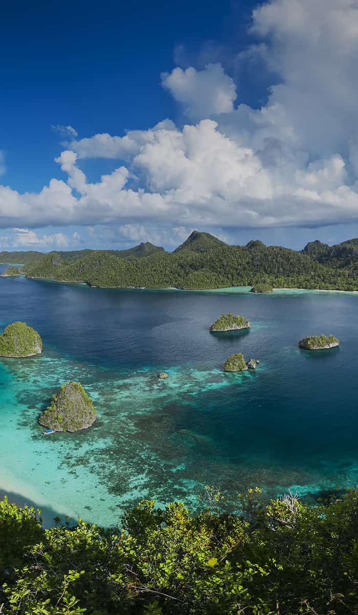 eSIM data plans for Papua New Guinea